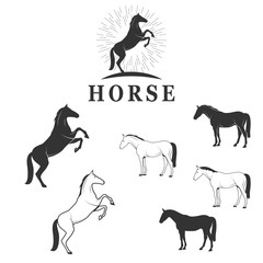 horses set