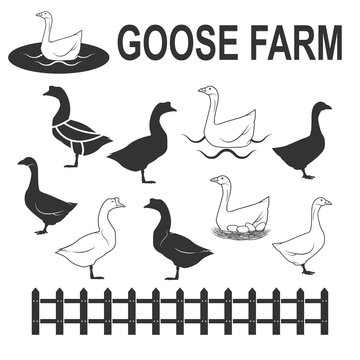 gooses set