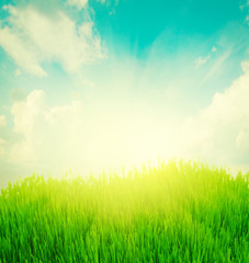 Obraz na płótnie Canvas rising sun and green grass under blue sky