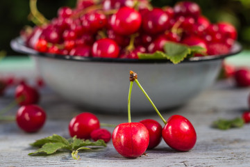 Fruit bowl full cherries currants