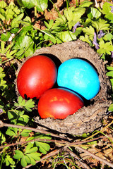 Painted eggs in the nest