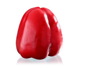 Paprika rot