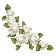 Gruppo rose bianche 1