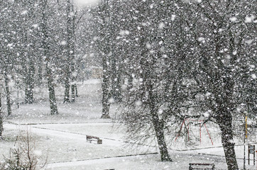 Atak wielkiej zimy © artur0372