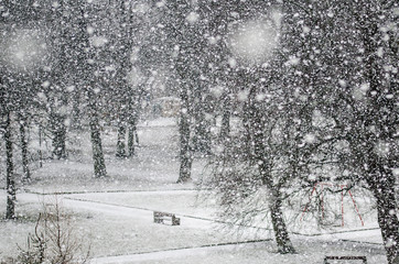 Atak wielkiej zimy © artur0372