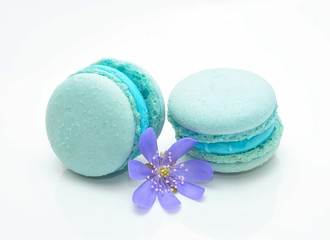 Tasty blue macaroons