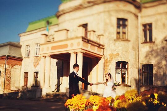 elegant beautiful stylish bride and groom on the background aban