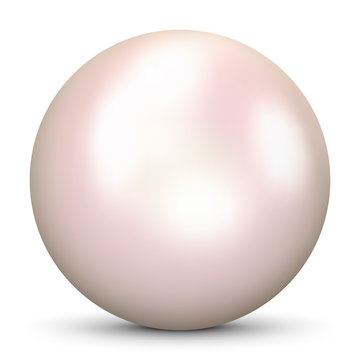 Pinke, cremefarbene 3D Vektor Perle isoliert auf weißem Hintergrund. Designelement für Beauty, Wellness und Spa Design. Pink, Rosa, rosane Zuchtperle, Muschelperle, Austernperle - Illustration