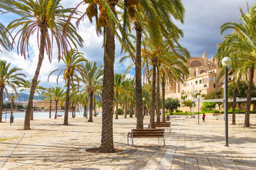 Fototapeta na wymiar Beautiful view of Mallorca city, Balearic Islands
