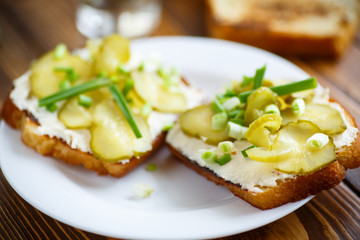 Vegetarian sandwich with cheese, pickles and herbs 