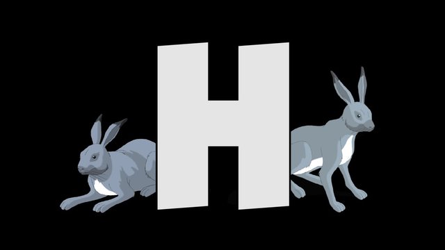 Letter H and Hare (background)
Animated animal alphabet. HD footage with alpha channel. Animal in a background of letter.