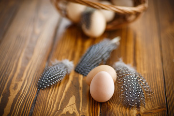 Eggs of a guinea fowl