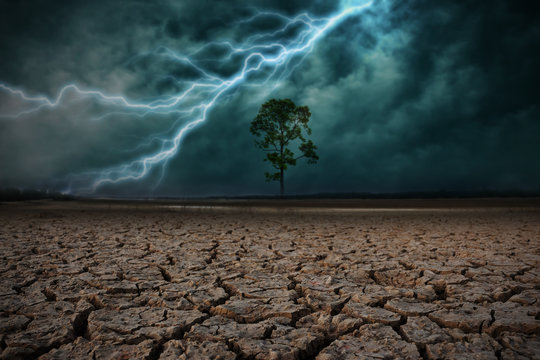 Land To The Ground Dry Cracked And Big Tree. With Lightning Stor