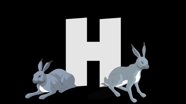 Letter H and Hare (foreground)
Animated animal alphabet. HD footage with alpha channel. Animal in a foreground of letter.