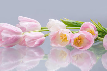 Obraz na płótnie Canvas Pink tulips on a glass 