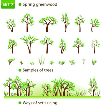 Spring greenwood. Set 7. (Spring deciduous forest.)