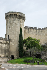 Fototapeta na wymiar Fortress wall in Avignon