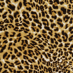 texture of print fabric striped leopard
