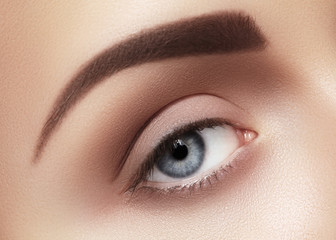 Close-up macro of beautiful female eye with perfect shape eyebrows. Clean skin, fashion naturel...
