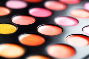 Close-up macro shot of lipgloss palette. Colourful salon cosmetics for makeup artist. Vibrant make-up product. Soft focus

