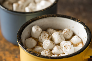 Cups of cocoa with marshmallows horizontal