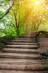 Wood path in the Plitvice national park
