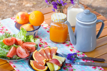 picnic, view of picnic table with fruits, juice and vegetable at the camping area