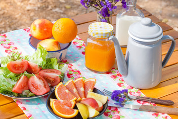 picnic, view of picnic table with fruits, juice and vegetable at the camping area