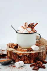 delicious winter hot drink cocoa with marshmallow , cinnamon , chocolate , spices and milk on a white wooden background
