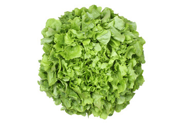 Salat Gemüse von oben Freisteller freigestellt isoliert