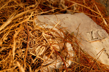 Yellow straw on a tombstone