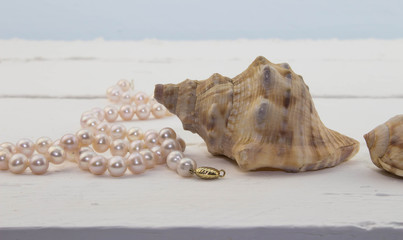 Fototapeta na wymiar Pink pearl necklace on white wood background with shell