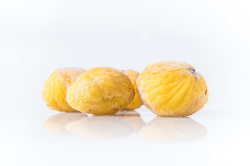 chestnut isolated on white background