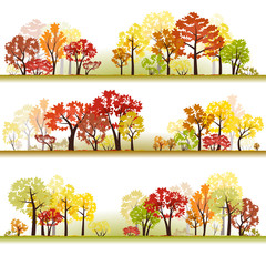 Forest. Samples 4. Late autumn. Fall. Defoliation.