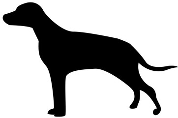 dog vector silhouette