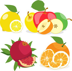 Set of fruit, lemon, apple, orange, pomegranate, vector illustration