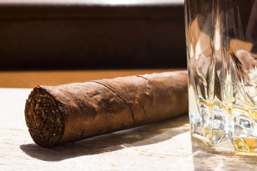 One Havana near the cup