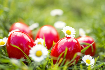 Red Easter Eggs