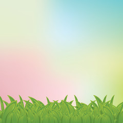 Grass frame on pastel background, vector