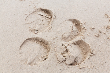 Footprints on beach