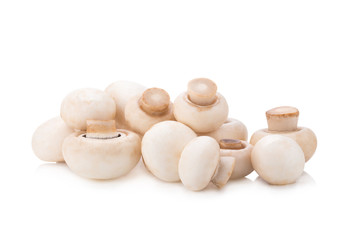 Champignon Isolated on White Background