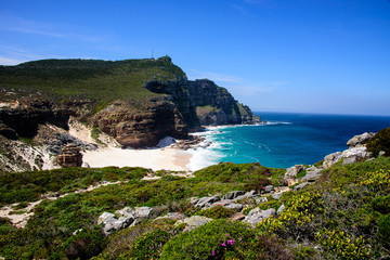 Natural Beauty of the Cape peninsula