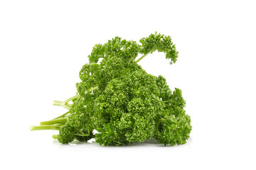 Fototapeta premium parsley isolated on a white background