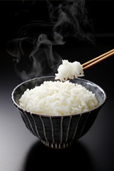 Japanese rice