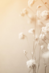 weed flowers in vintage color style on mulberry paper texture for background
