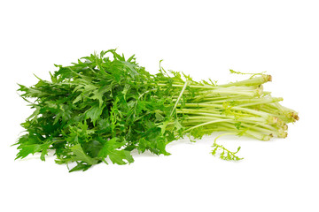 Mizuna greens on white background