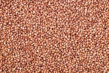 Closeup of a buckwheat