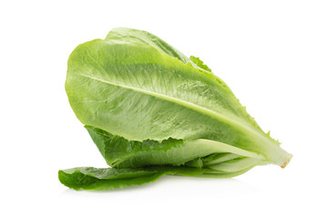 Cos Lettuce Isolated on White Background