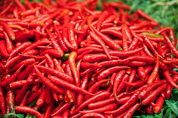 Chili