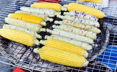 Organic grilled corn sale on street market, Selective focus